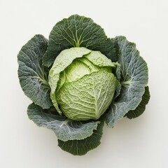 Fototapeta premium cabbage on a white background