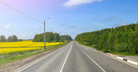 Fototapeta premium A long road with trees on both sides and a field of yellow flowers in the background. The sky is clear and blue
