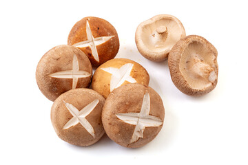 Fresh shiitake mushrooms on a white background