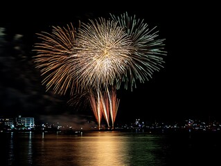 Colorful firework on the night sky.