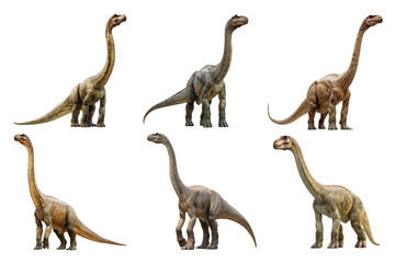 Brachiosaurus Collection Bundle Set Isolated on a Transparent Background