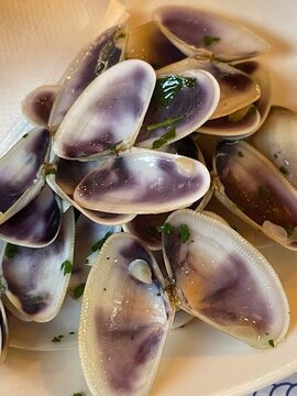 Muscheln