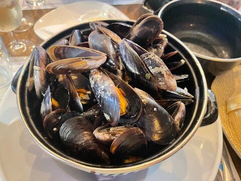 Muscheln