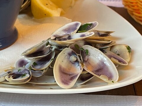 Muscheln