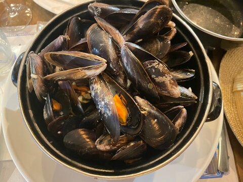 Muscheln