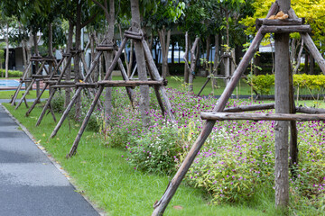 Lush Urban Park with Trees and Benches