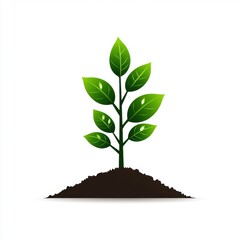 A vibrant green seedling growing from rich soil, symbolizing new beginnings and nature's beauty.