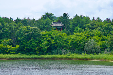 Hidden Pavilion Among the Trees at Songji Lake