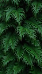 Lush Green Tropical Palm Leaves Creating Dense Foliage Background