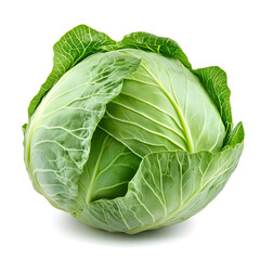 Fototapeta premium cabbage isolated on white background