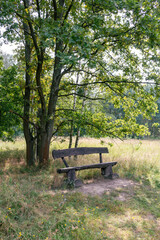 Bench in a park