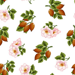 Flowers and fruits of wild rose.Vector seamless pattern with rose hips and flowers on a transparent background.