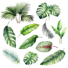 PNG watercolor tropical leaf design element set, transparent background