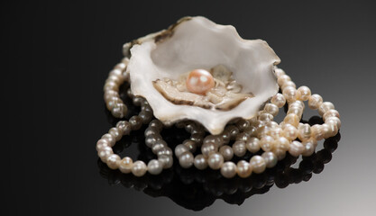 Pearls, Natural pearl inside the oyster shell, close up, necklace over black background. Nacre. Mother-of-pearl. Jewellery