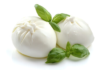 Fresh piece burrata cheese with basil close up isolated on white background