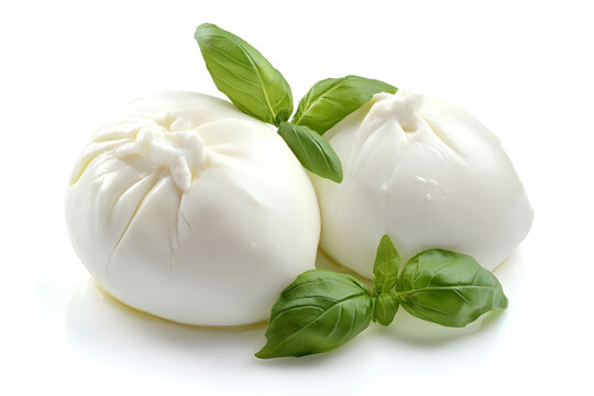 Fresh piece burrata cheese with basil close up isolated on white background