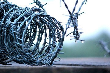 Barbed Fencing Wire	
