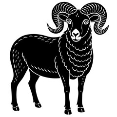 illustration of a sheep
