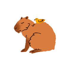 Funny capibara and cute bird sleep. Amusing birdie relaxes on asleep capybara, adorable rodent. Animals friends have a rest together. Flat isolated hand drawn vector illustration on white background