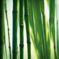 Obraz premium Sunlit Bamboo Leaf, close-up of slender bamboo leaves, backlit by sunlight
