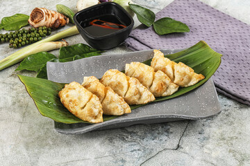Japanese cuisine - stuffed dumplings gyoza
