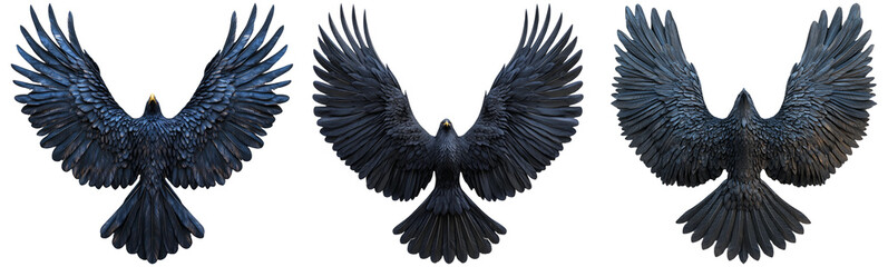 Obraz premium Detailed black wings set isolated on transparent background