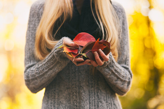 Autumn: Woman Holds Handful Of Fall Leaves