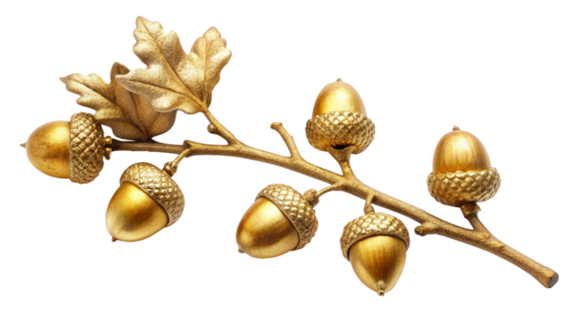 Oak Twig with Acorns painted in golden color, Isolated on White Transparent Background, PNG Element