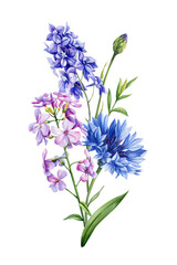 Obraz premium Flowers, branch leaves, buds on white background, watercolor illustration, floral clipart arrangements, wedding design