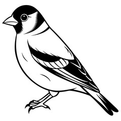 Goldfinch Illustration - Detailed Vector Art of a Goldfinch Bird