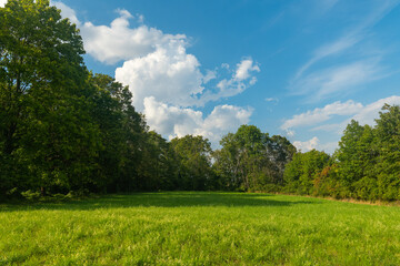 large open field with a clear blue sky and trees in the background