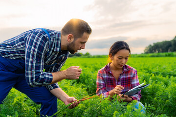 An experienced farmer proudly presents the thriving carrot crops to a young and aspiring female agricultural engineer, sharing knowledge and expertise in the field. © DusanJelicic