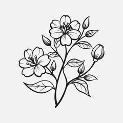 A drawing Black outline flowers branch with vector illustration on it