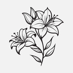 A drawing Black outline flowers branch with vector illustration on it