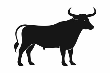 A Bull vector illustration