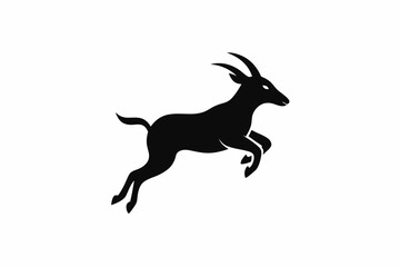 Fototapeta premium A jumping Goat