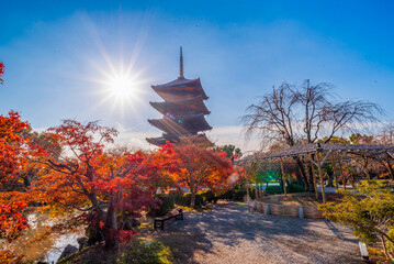 The most beautiful viewpoint of Toji(To-ji) is a popular tourist destination in Kyoto, Japan.