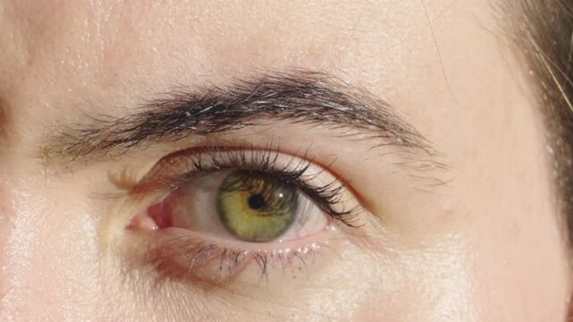 Close-up of woman's green eye slow motion. Thick eyebrows and eyelashes. Young woman intense look. Bright sunny day