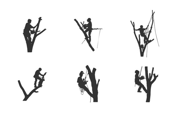 Tree surgeon svg, Tree surgeon working silhouette, Tree surgeon silhouette, Tree surgeon working svg, Tree surgeon vector, Tree services svg, Tree services silhouette