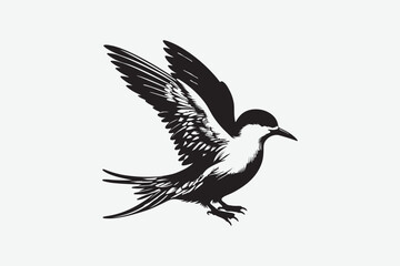 Pigeon Bird vector art and illustration