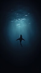 Fototapeta premium A Silhouetted Shark Swims Upwards Through Dark Blue Water