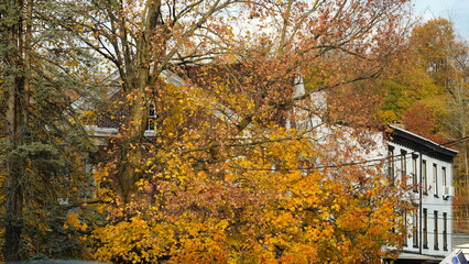 The beautiful little town landscape with the colorful autumn leaves and old buildings in USA