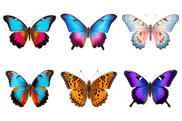 Obraz premium PNG colorful butterfly element set, transparent background