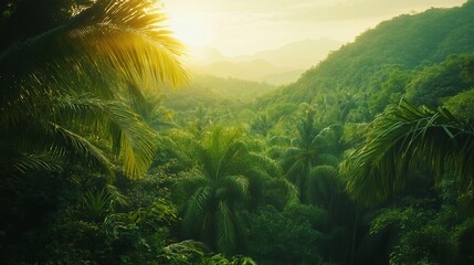 A lush view of the tropical rainforest jungle in Sanya, Hainan Island, China.