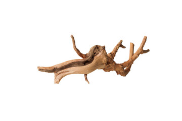 Old dry driftwood tree branch on an isolated white background close-up