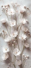 3d realistic of white flower and branches on a white background