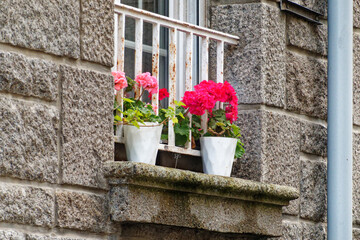 Flowers on granite windowsill