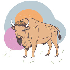 Bison design and vector art.