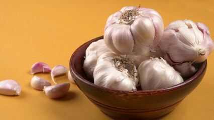 Organic Garlic. Fresh Garlic Cloves and Garlic bulb in wooden basket on yellow background with Pile of garlic or spice. Concept of spices for healthy cooking.