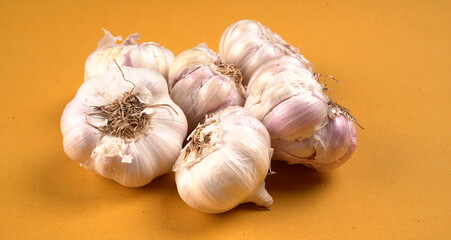 Organic Garlic. Fresh Garlic Cloves and Garlic bulb in wooden basket on yellow background with Pile of garlic or spice. Concept of spices for healthy cooking.